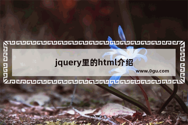 jquery里的html介绍