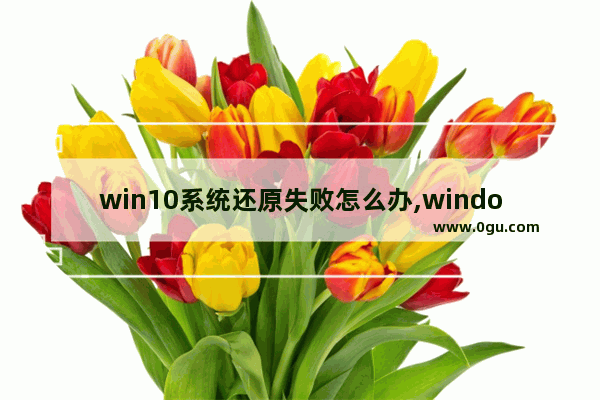 win10系统还原失败怎么办,windows10系统崩溃恢复