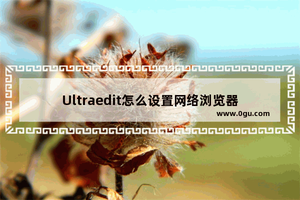 Ultraedit怎么设置网络浏览器