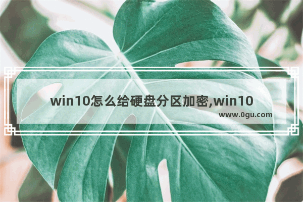 win10怎么给硬盘分区加密,win10如何给硬盘分区