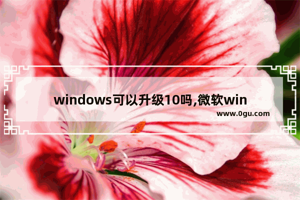 windows可以升级10吗,微软windows 10易升