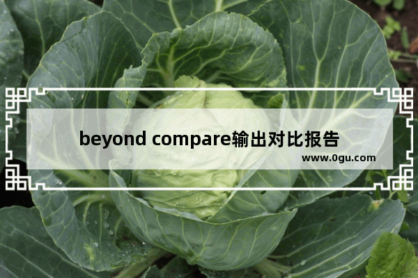 beyond compare输出对比报告,beyondcompare对比excel