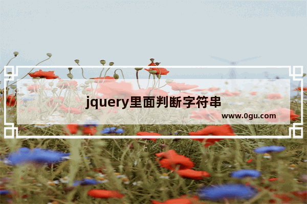 jquery里面判断字符串