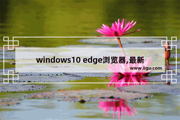 windows10 edge浏览器,最新的edge浏览器版本