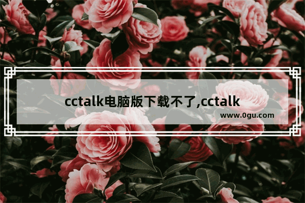 cctalk电脑版下载不了,cctalk官网下载安装