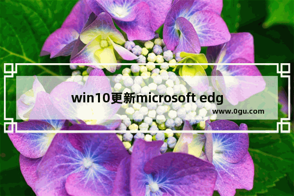 win10更新microsoft edge,surface pro 固件更新