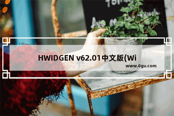 HWIDGEN v62.01中文版(Win10永久数字激活工具),win10激活工具hwidgen下载