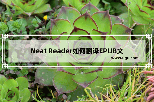 Neat Reader如何翻译EPUB文档中的英文