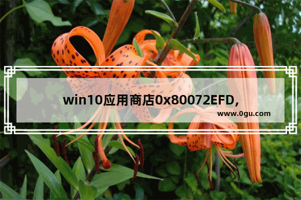 win10应用商店0x80072EFD,win10商店错误代码0xc8000422