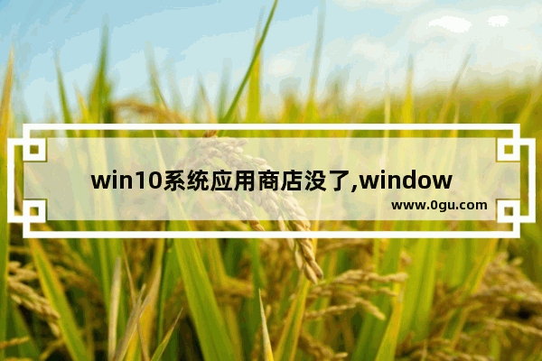 win10系统应用商店没了,windows10应用商店获取不了