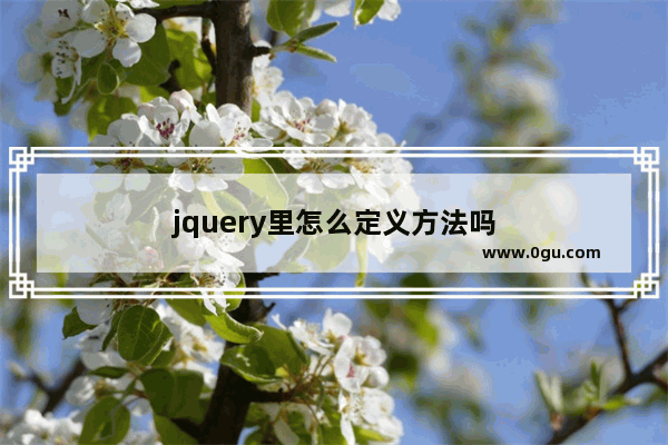 jquery里怎么定义方法吗