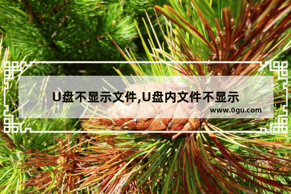 U盘不显示文件,U盘内文件不显示