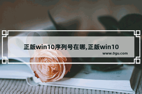 正版win10序列号在哪,正版win10怎么查看序列号