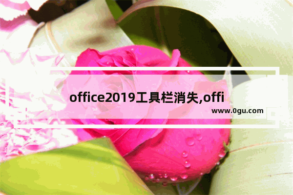 office2019工具栏消失,office2019快捷方式找不到