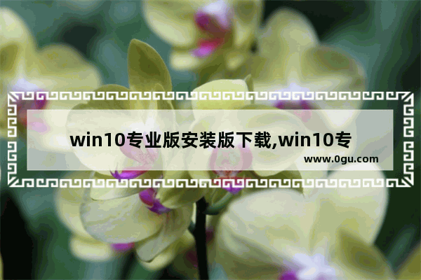 win10专业版安装版下载,win10专业版如何下载安装