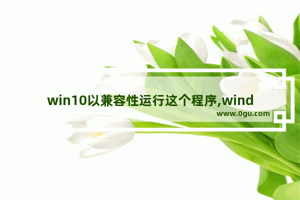 win10以兼容性运行这个程序,windows以兼容模式运行有什么用