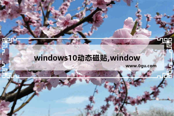 windows10动态磁贴,windows照片动态磁贴