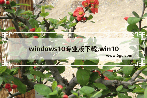 windows10专业版下载,win10下载csdn