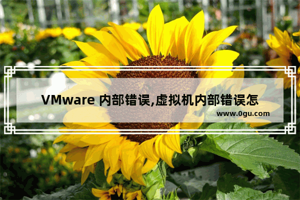 VMware 内部错误,虚拟机内部错误怎么解决