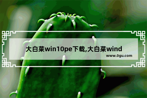 大白菜win10pe下载,大白菜windowspe系统安装系统