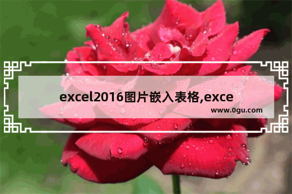 excel2016图片嵌入表格,excel2007表格怎么添加表格