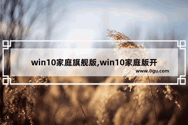 win10家庭旗舰版,win10家庭版开发者选项