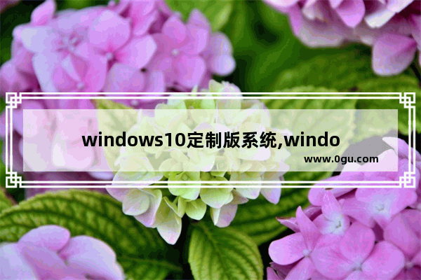 windows10定制版系统,windows10装机必备软件