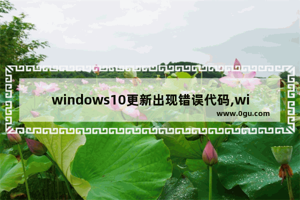 windows10更新出现错误代码,windows10 mobile最后更新