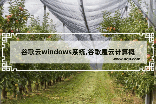 谷歌云windows系统,谷歌是云计算概念的创造者