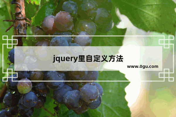 jquery里自定义方法