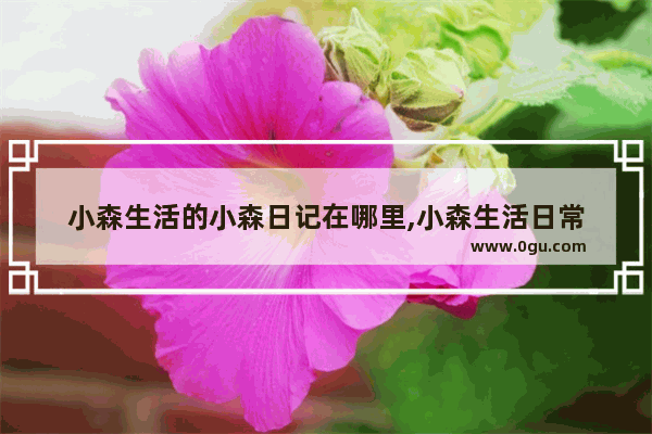 小森生活的小森日记在哪里,小森生活日常