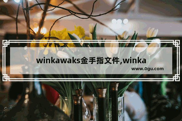 winkawaks金手指文件,winkawaks模拟器手柄设置