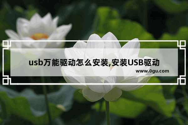 usb万能驱动怎么安装,安装USB驱动