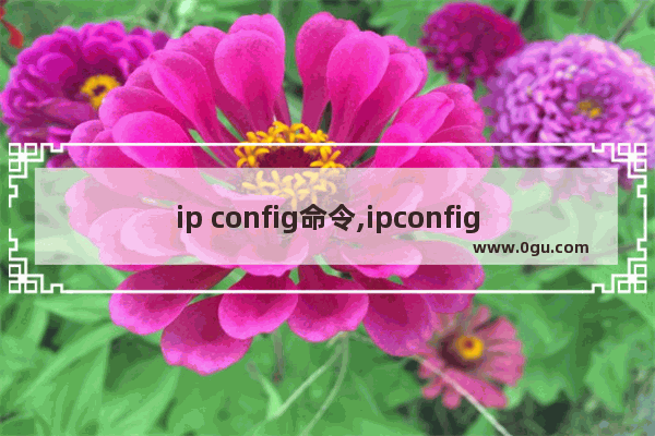 ip config命令,ipconfig命令大全