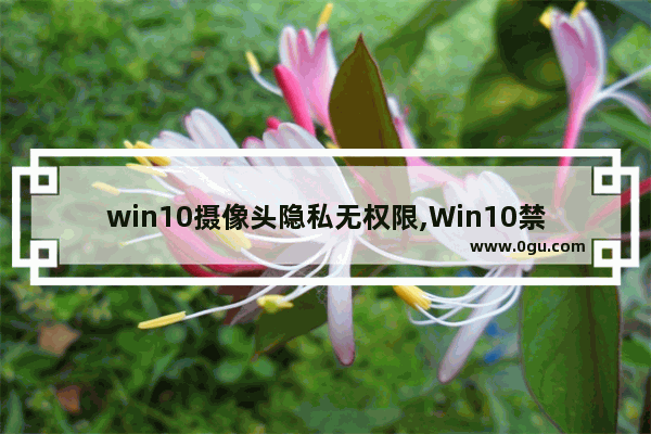 win10摄像头隐私无权限,Win10禁用摄像头