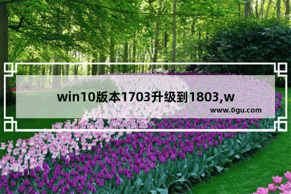 win10版本1703升级到1803,win10系统更新版本号