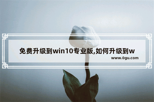 免费升级到win10专业版,如何升级到win10专业版