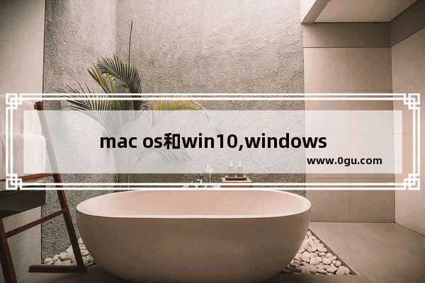 mac os和win10,windows10 macos