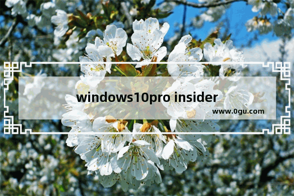 windows10pro insider preview,win10 insider preview