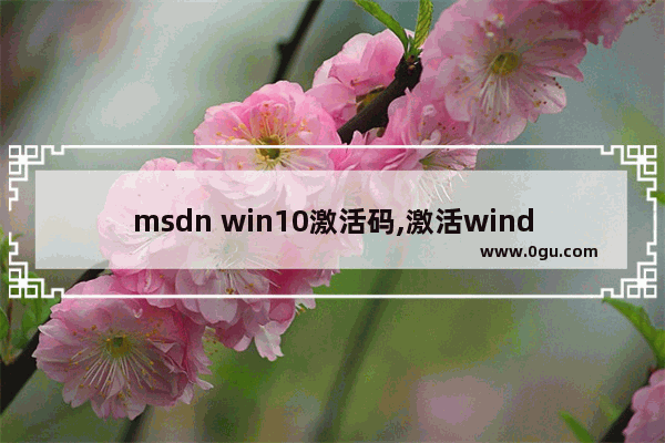 msdn win10激活码,激活windows10专业版激活码