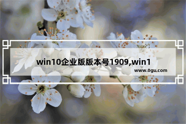 win10企业版版本号1909,win10系统1909版本下载