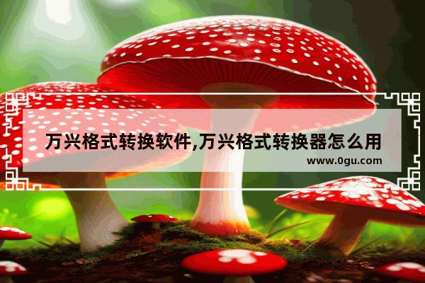 万兴格式转换软件,万兴格式转换器怎么用