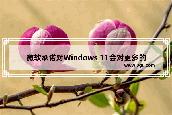 微软承诺对Windows 11会对更多的内置应用程序进行改造,微软放弃Windows