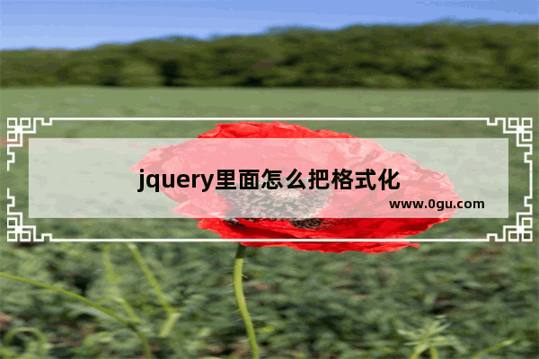 jquery里面怎么把格式化