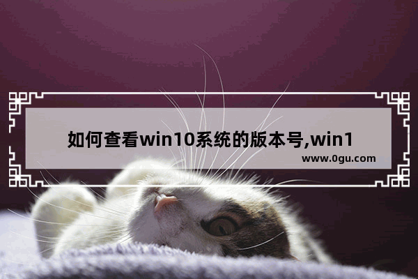 如何查看win10系统的版本号,win10怎样查看版本号