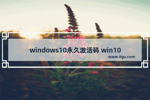 windows10永久激活码 win10专业版密钥,windows10专业版密钥激活码