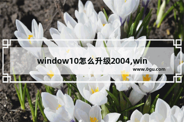 window10怎么升级2004,windows10怎么升级到2004