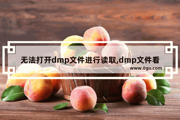 无法打开dmp文件进行读取,dmp文件看不懂