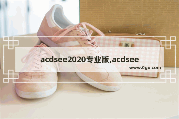 acdsee2020专业版,acdsee最新版本