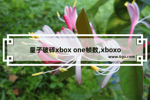 量子破碎xbox one帧数,xboxonex量子破碎